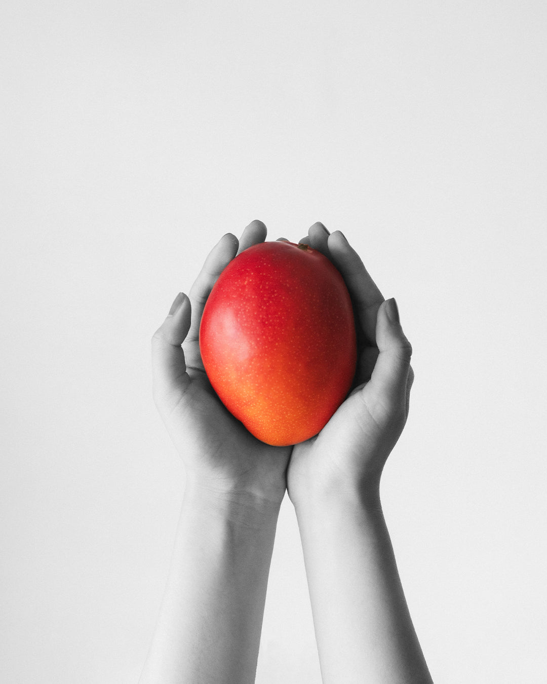 MANGO(マンゴー)