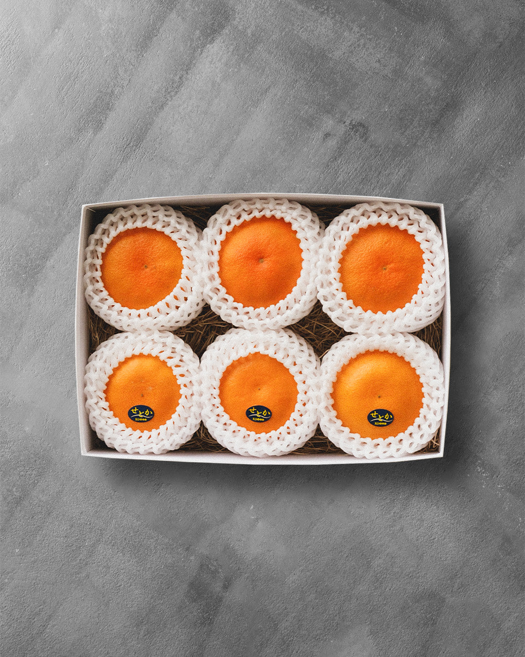 柑橘食べ比べ（せとか/甘平）