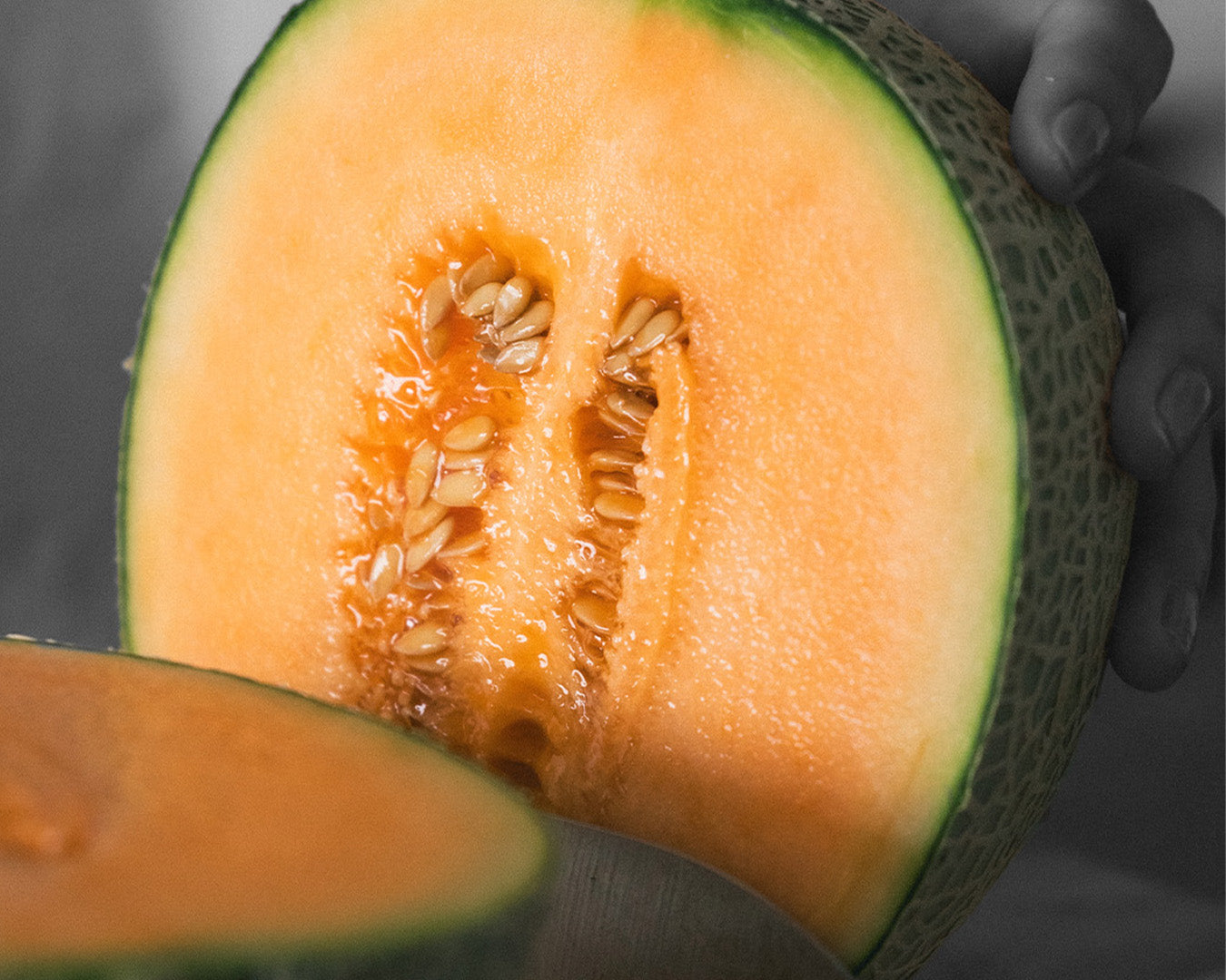 メロン① 楽天市場】フレデリメロン 1ケ入 メロン箱 信和 【10枚】外寸:横150×縦